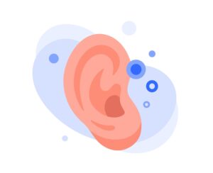 Ear